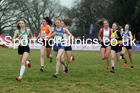 Womens under-17 Northern Cross Country Champs., Camp Hill Estate, Kirklington.  Photo: David T. Hewitson/Sports for All Pics